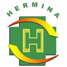Hermina-Hospital.jpg